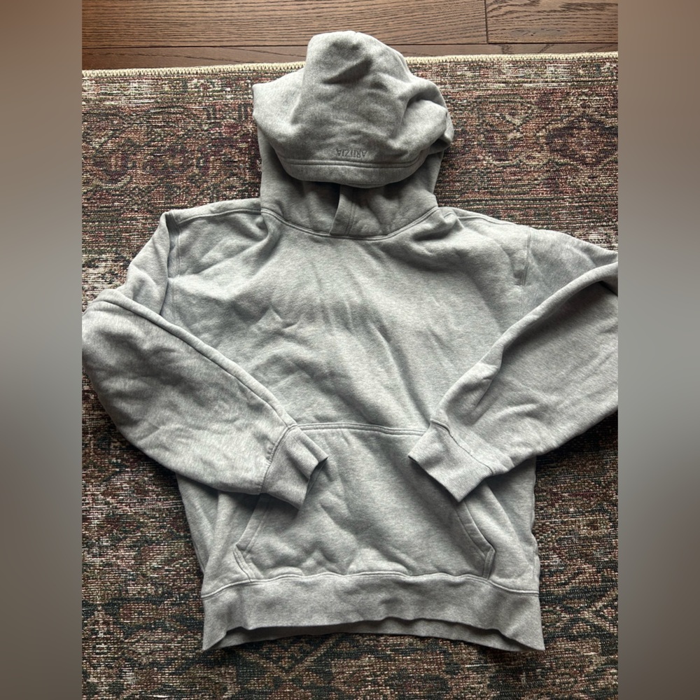 ARITZIA Gray Hoodie